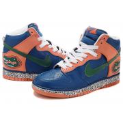 Nike Dunk SB Homme Soldes